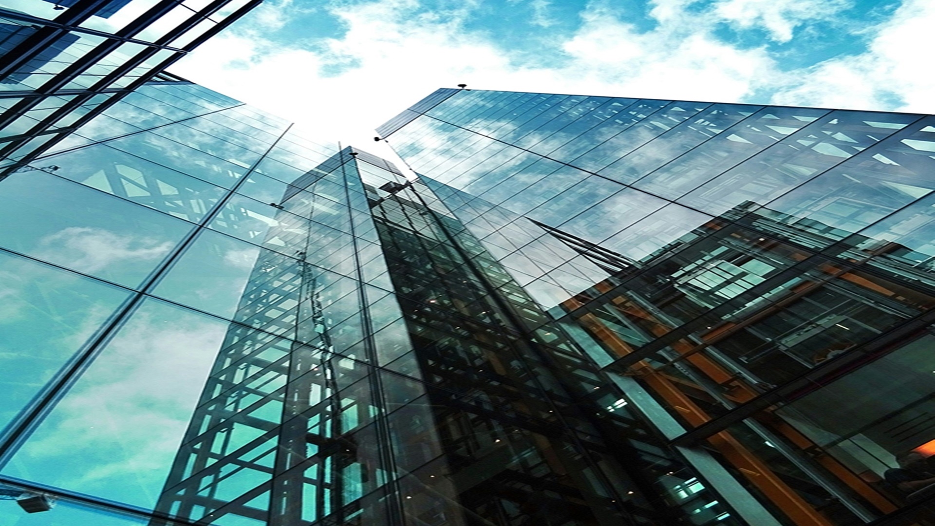 수지 몽펠리에 힐포레